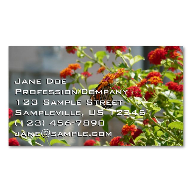 Monarch Butterfly on Red Butterfly Bush Business Card Magnet (Front)