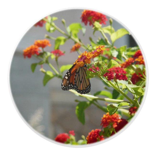 Monarch Butterfly on Red Butterfly Bush Ceramic Knob (Front)