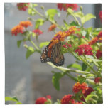 Monarch Butterfly on Red Butterfly Bush Cloth Napkin