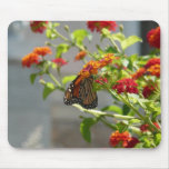 Monarch Butterfly on Red Butterfly Bush Mouse Pad
