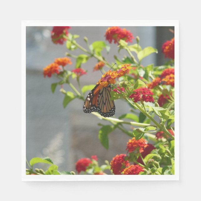 Monarch Butterfly on Red Butterfly Bush Napkins (Front)