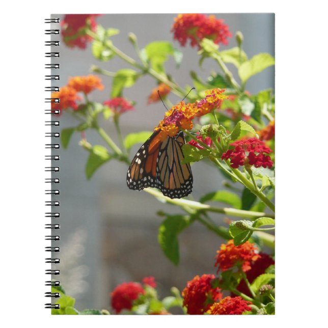 Monarch Butterfly on Red Butterfly Bush Notebook (Front)