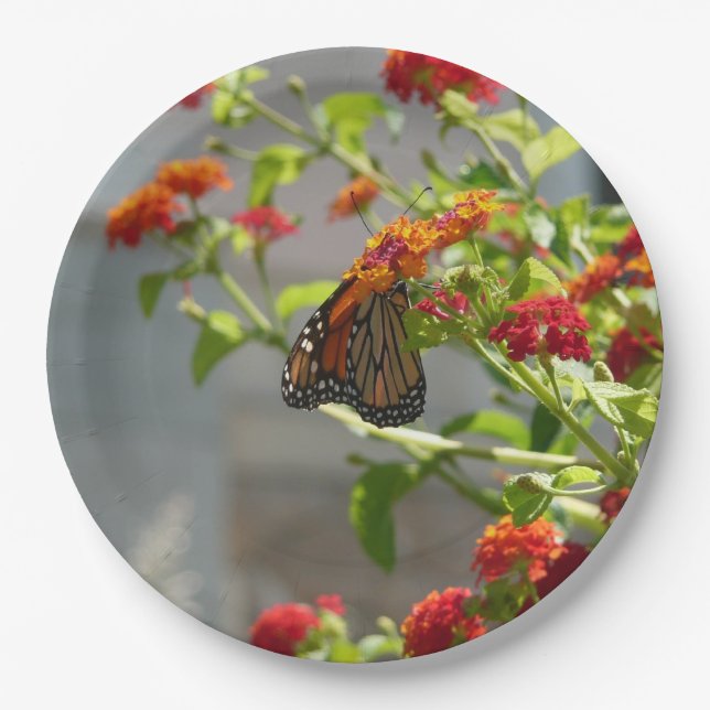 Monarch Butterfly on Red Butterfly Bush Paper Plates (Front)
