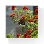 Monarch Butterfly on Red Butterfly Bush Paperweight