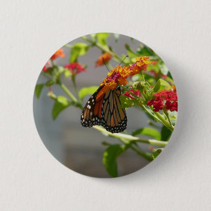 Monarch Butterfly on Red Butterfly Bush Pinback Button