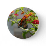 Monarch Butterfly on Red Butterfly Bush Pinback Button