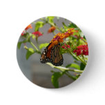 Monarch Butterfly on Red Butterfly Bush Pinback Button