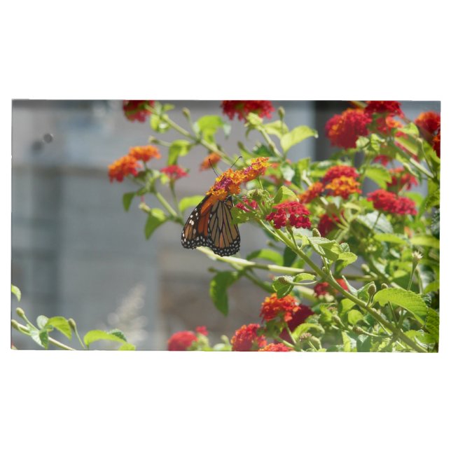 Monarch Butterfly on Red Butterfly Bush Place Card Holder (Front)