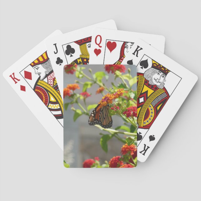 Monarch Butterfly on Red Butterfly Bush Poker Cards (Back)