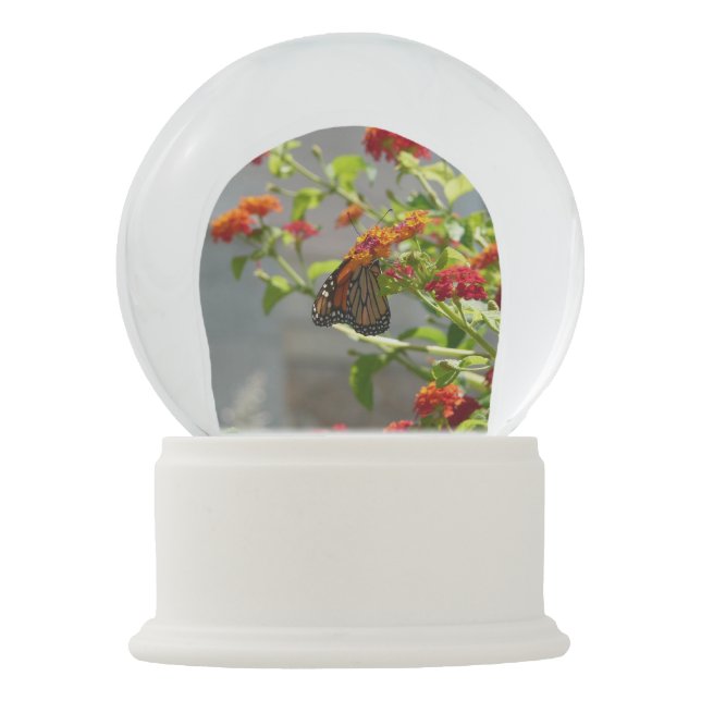 Monarch Butterfly on Red Butterfly Bush Snow Globe (Front)