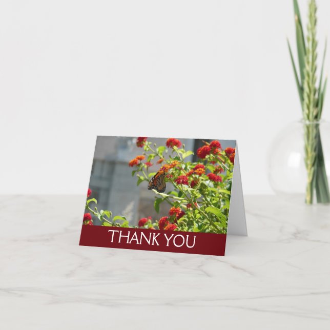 Monarch Butterfly on Red Butterfly Bush Thank You Card (Front)