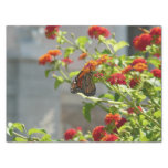 Monarch Butterfly on Red Butterfly Bush Tissue Paper