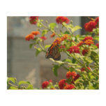 Monarch Butterfly on Red Butterfly Bush Wood Wall Decor