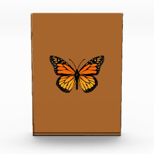 Monarch Butterfly on Sienna Award