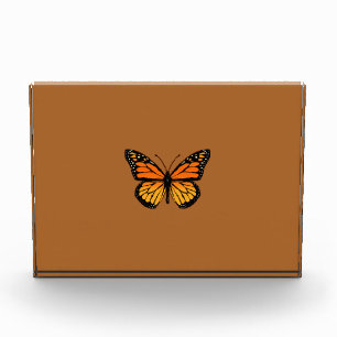 Monarch Butterfly on Sienna Award