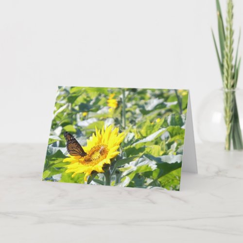 Monarch butterfly on sunflower note card