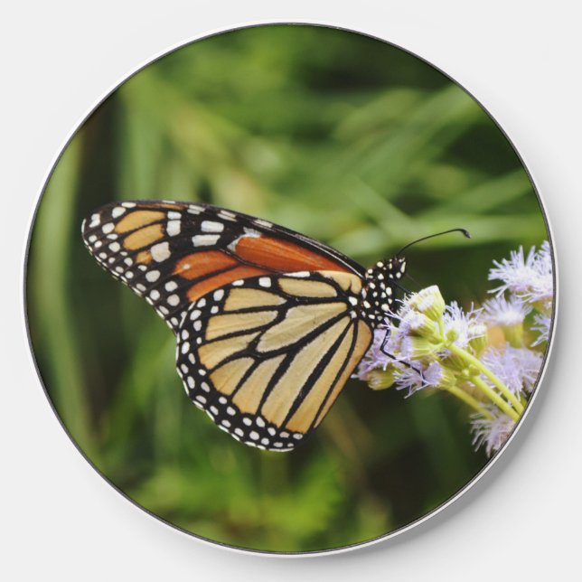 Monarch Butterfly on Wildflowers Charger (Front)
