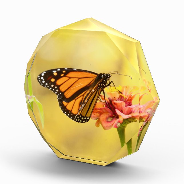 Monarch Butterfly on Zinnia Acrylic Award (Right)