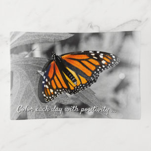 Monarch Butterfly Orange Black Monochrome Leaf Trinket Tray
