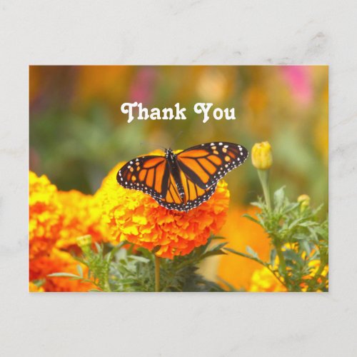 Monarch Butterfly Orange Marigold Photo Thank You Postcard