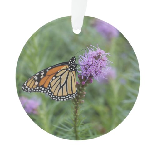 Monarch Butterfly Ornament