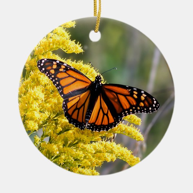 Monarch Butterfly Ornament (Front)