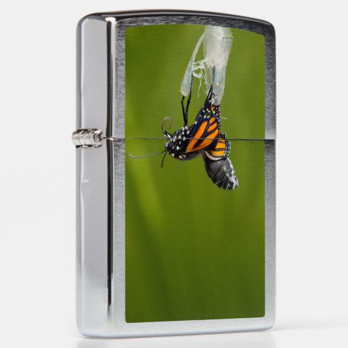 Monarch Butterfly Out of Cocoon Zippo Lighter