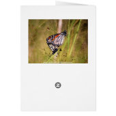 Monarch Butterfly Pair Card (Back)