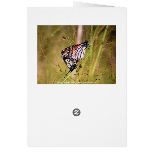 Monarch Butterfly Pair Card (Back)
