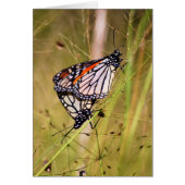 Monarch Butterfly Pair Card (Front)