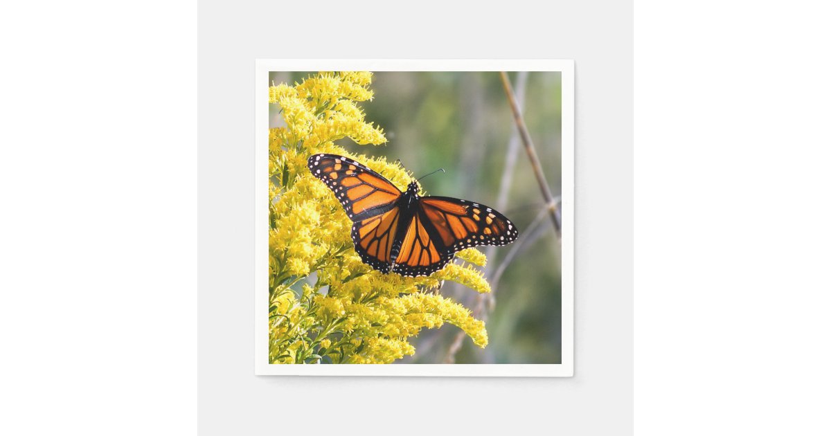 Monarch Butterfly Paper Napkin | Zazzle