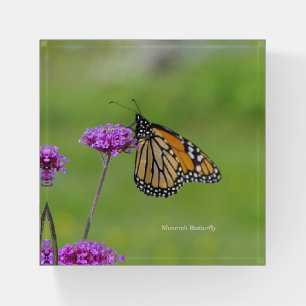 Monarch Butterfly paperweight