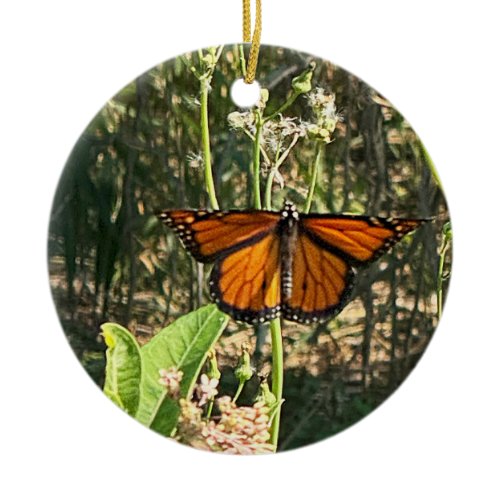 Monarch Butterfly Photo Ornament