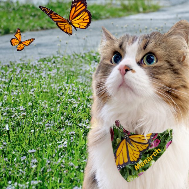 Monarch Butterfly photographic Nature Pet Bandana Collar (Creator Uploaded)