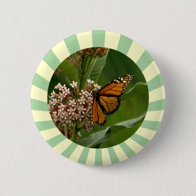 Monarch Butterfly Pinback Button (Front)