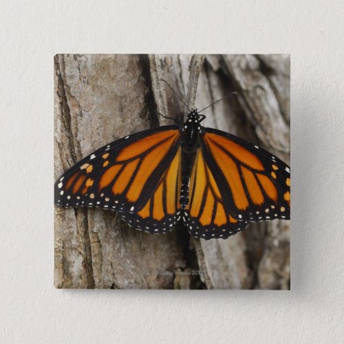Monarch Butterfly Pinback Button