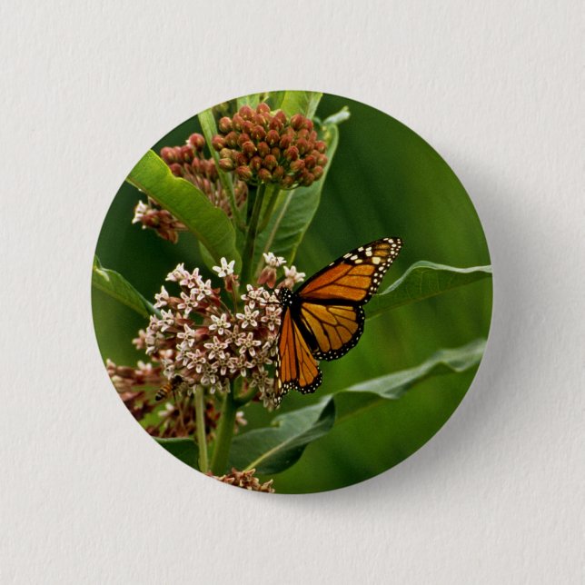 Monarch Butterfly Pinback Button (Front)