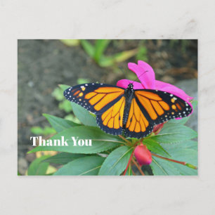Monarch Butterfly Pink Floral Photo Thank You Postcard