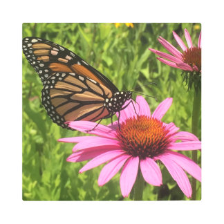 Monarch Butterfly Pink Flower Photo by Jen Hanson Metal Print