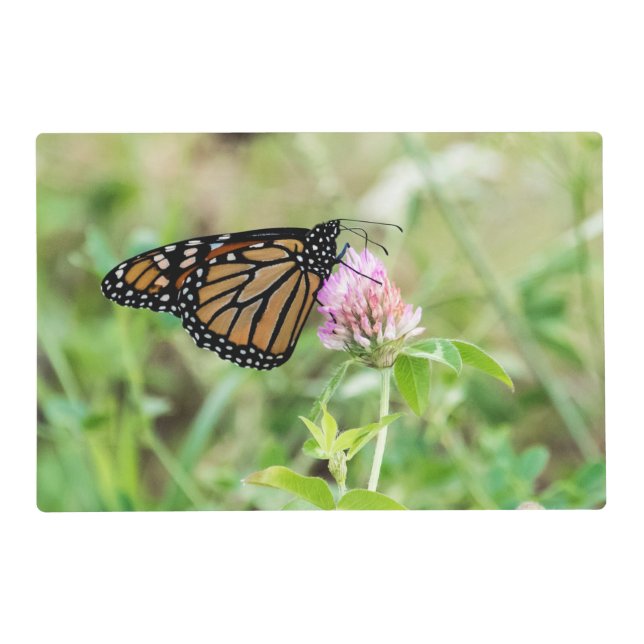 Monarch Butterfly Placemat (Front)