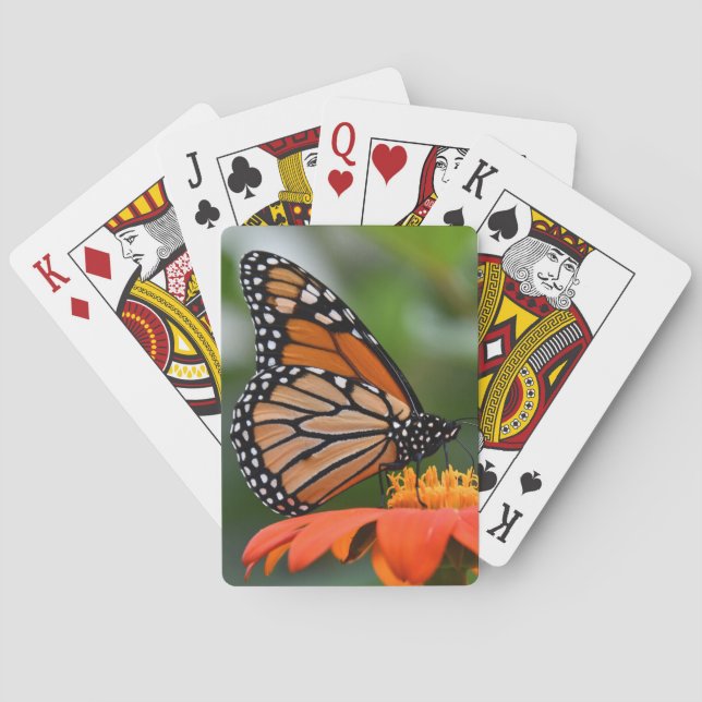 Monarch Butterfly Playing Cards (Back)