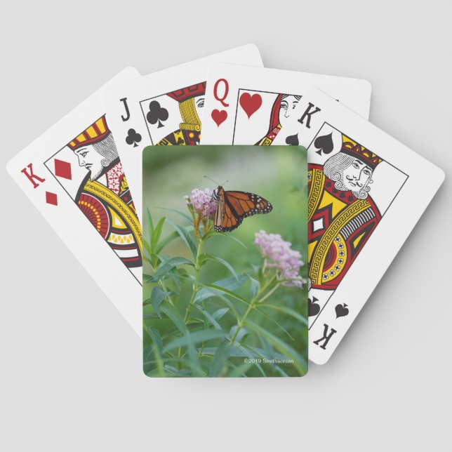 Monarch Butterfly Poker Cards (Back)