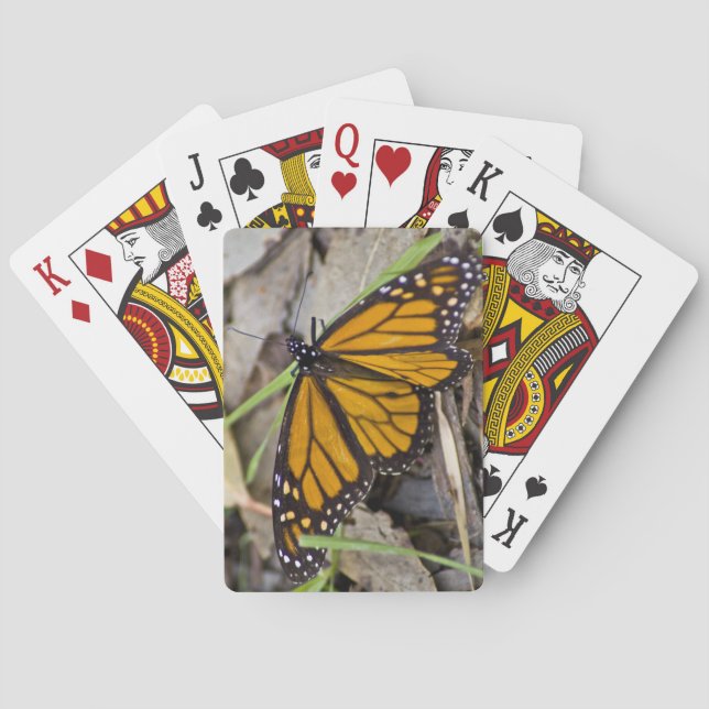 Monarch Butterfly Poker Cards (Back)