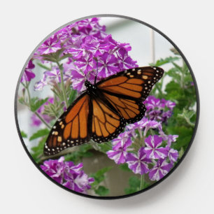 Monarch Butterfly  PopSocket