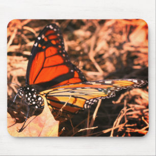Monarch Butterfly Posing Nature Mouse Pad