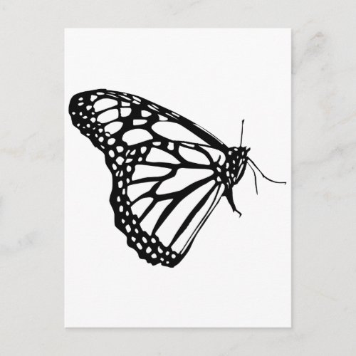 Monarch Butterfly Postcard