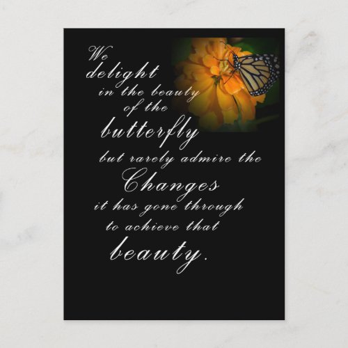 Monarch Butterfly Postcard