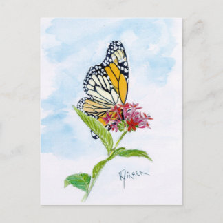 Monarch Butterfly Postcard