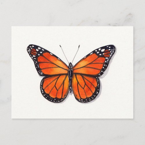 Monarch Butterfly Postcard