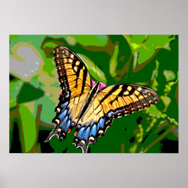 Monarch Butterfly Poster (Front)